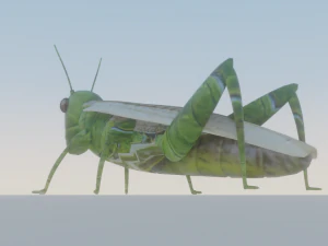 Grasshopper 3D Model