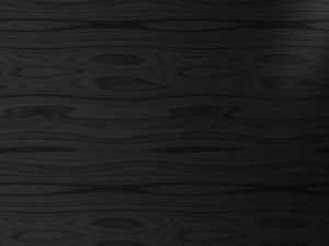 Dynamic 3D 모델