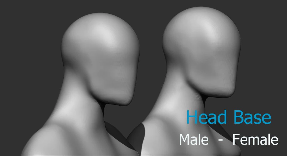 Male Female Head Base 3D Model .c4d .max .obj .3ds .fbx .stl .blend 