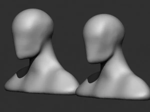 Male Female Head Base 3D Model