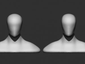 Male Female Head Base 3D Model