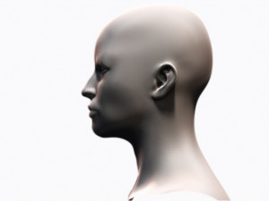 Female Head 3D Model
