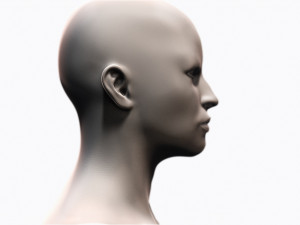 Female Head 3D Model