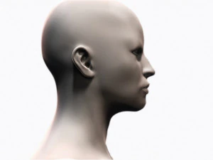 Female Head 3D Model
