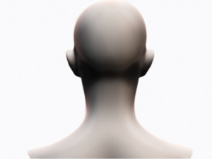 Female Head 3D Model