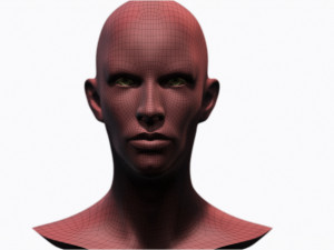 Female Head 3D Model