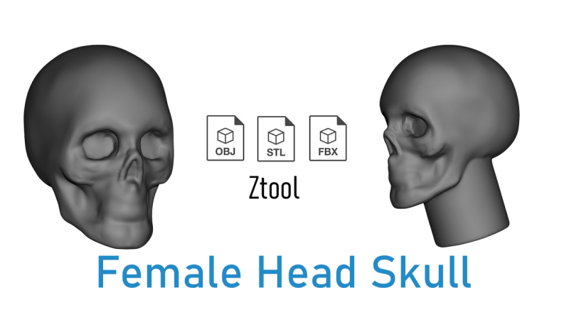 Female skull base head 3D Print Model .c4d .max .obj .3ds .fbx .stl .blend 