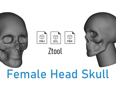 女性の頭蓋骨ベースの頭 3Dプリントモデル