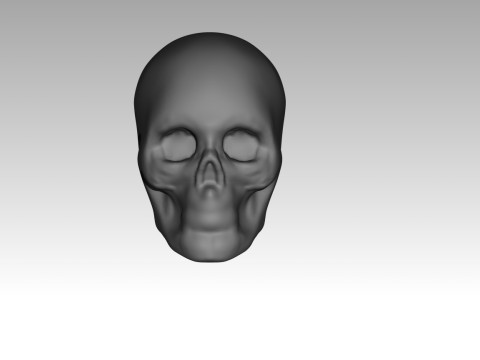 Female skull base head 3D Print Model