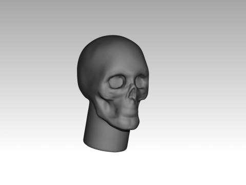 Female skull base head 3D Print Model