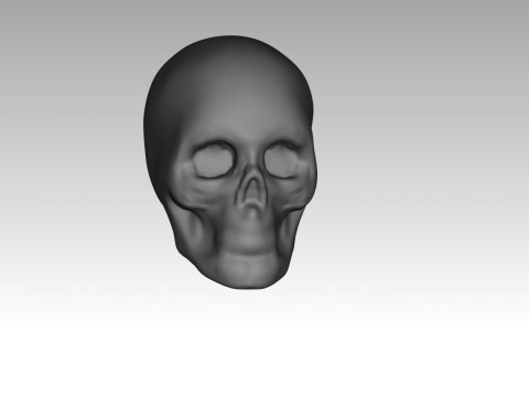 Female skull base head 3D Print Model