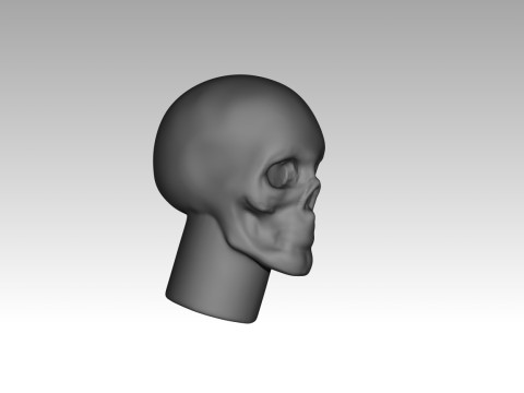 Female skull base head 3D Print Model