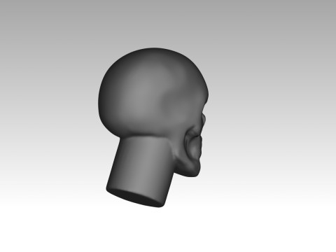Female skull base head 3D Print Model