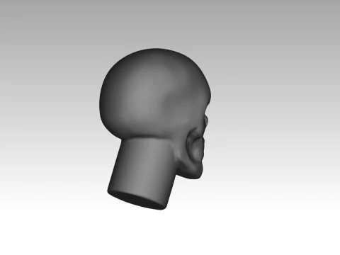 Female skull base head 3D Print Model