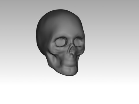 Female skull base head 3D Print Model