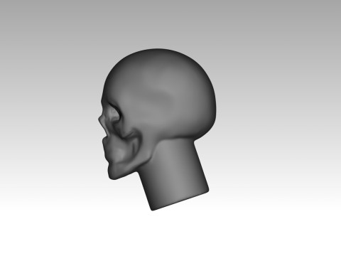 Female skull base head 3D Print Model