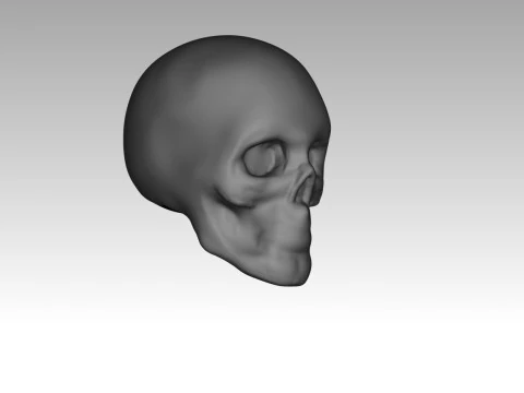 Female skull base head 3D Print Model