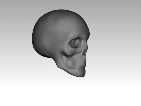 Female skull base head 3D Print Model
