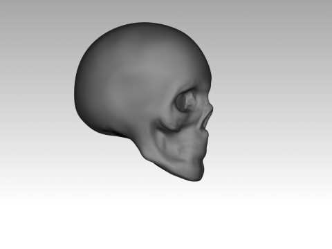 Female skull base head 3D Print Model