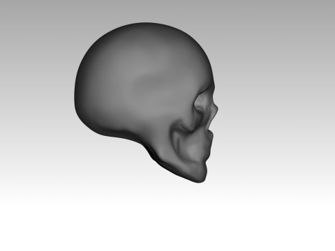 Female skull base head 3D Print Model