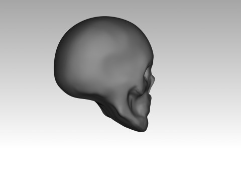 Female skull base head 3D Print Model