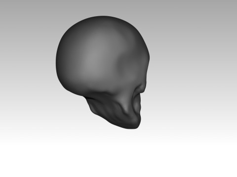Female skull base head 3D Print Model