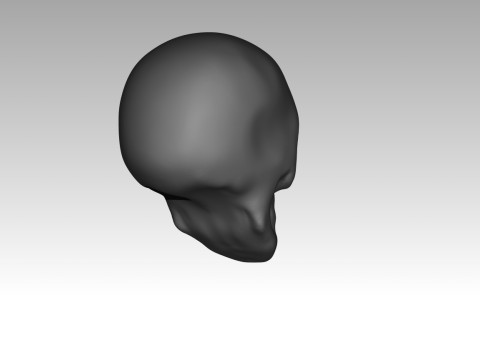 Female skull base head 3D Print Model