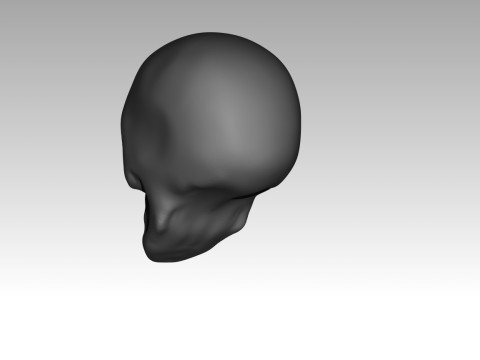Female skull base head 3D Print Model