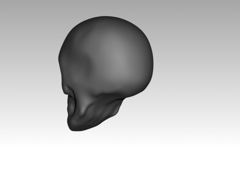 Female skull base head 3D Print Model