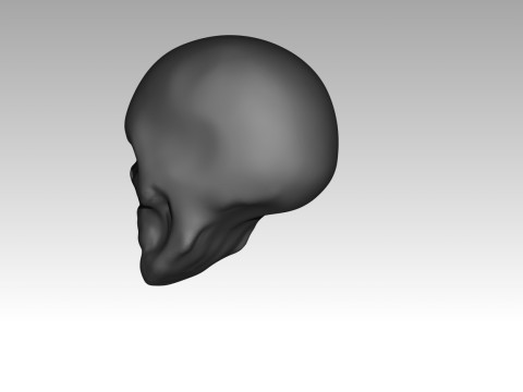 Female skull base head 3D Print Model