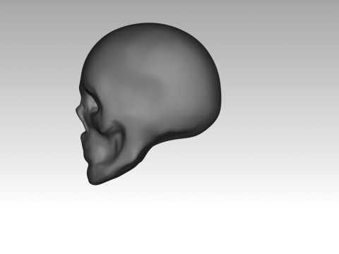Female skull base head 3D Print Model
