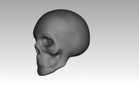 Female skull base head 3D Print Model