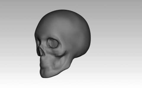 Female skull base head 3D Print Model