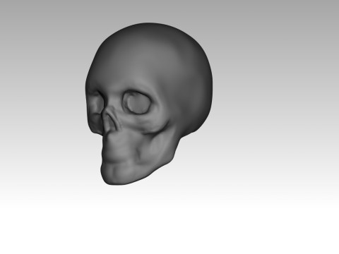 Female skull base head 3D Print Model