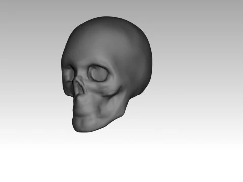 Female skull base head 3D Print Model