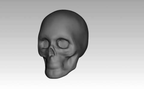 Female skull base head 3D Print Model