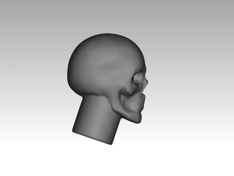 Female skull base head 3D Print Model