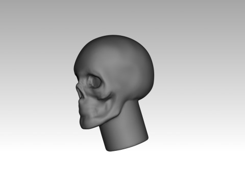 Female skull base head 3D Print Model