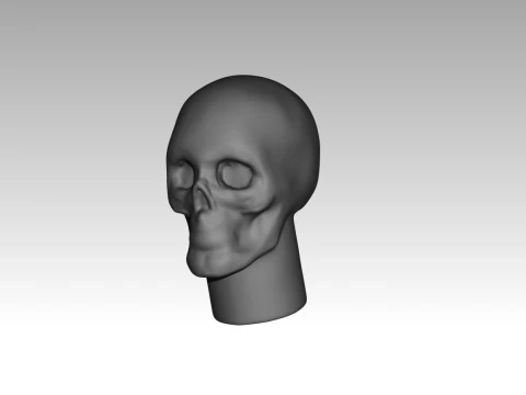 Female skull base head 3D Print Model