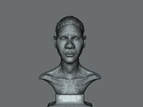 African BaseHead3D printModel 3D Print Model