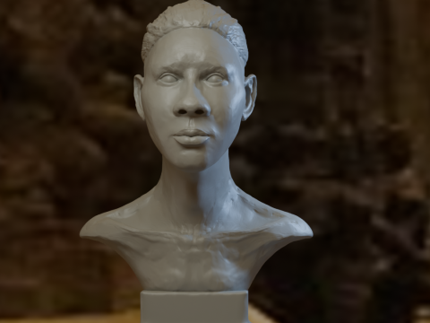 African BaseHead3D printModel 3D 打印模型
