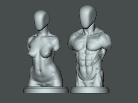 Torso masculino-feminino 3D para impressão Modelo de Impressão 3D