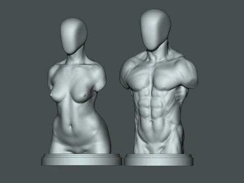 Male-Female Torso 3d printable 3D Print Model