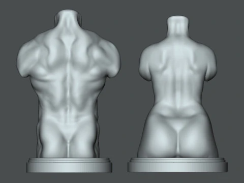 Male-Female Torso 3d printable 3D Print Model