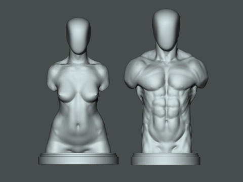 Torso masculino-feminino 3D para impressão Modelo de Impressão 3D