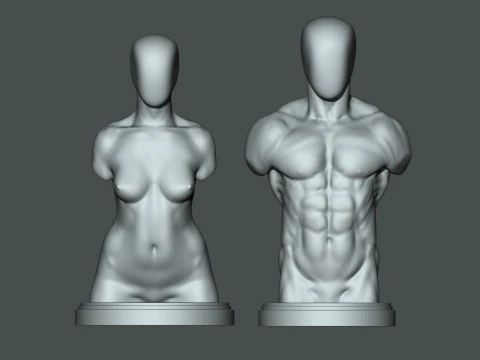 Male-Female Torso 3d printable 3D Print Model
