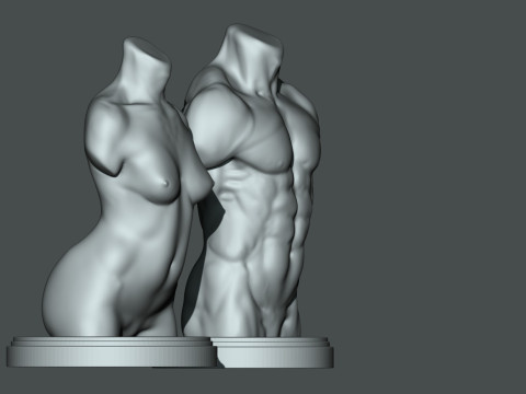 Torso masculino-feminino 3D para impressão Modelo de Impressão 3D