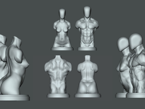 Torso masculino-feminino 3D para impressão Modelo de Impressão 3D