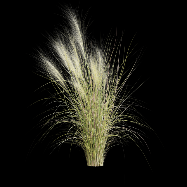 Tall grass 3D-Modell .c4d .max .obj .3ds .fbx .stl .blend 