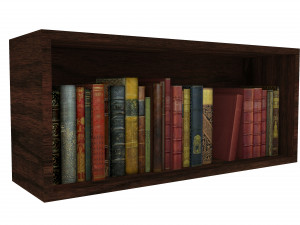 Bookshelf Bookcase Library Modèle 3D
